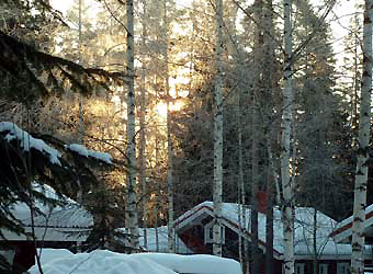 Lever de soleil dans les branches givrées, juste au-dessus du chalet...