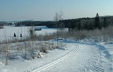 Les pistes de Messilä sont souvent vallonnées. Au fond, forêts et lacs...