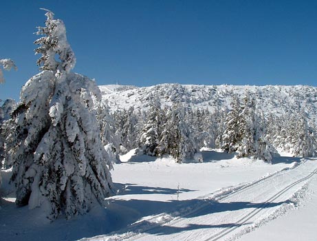 A l'arrière plan, le MOnt Alambre.