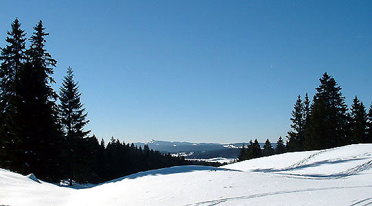 Les Hautes Combes vues depuis la Combe à la Chèvre