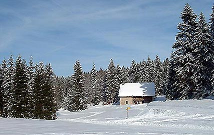 Combe de l'Auger, Giron - Ain.