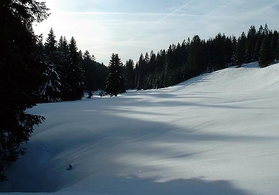 La Combe du Berbois