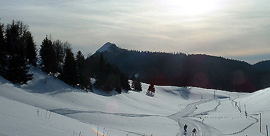 PIste de Malatrait, côté Berbois. Au fond, le Crêt de Chalam