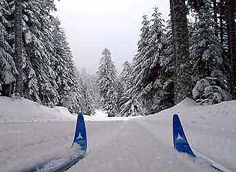 Mais à qui donc sont ces skis ?...