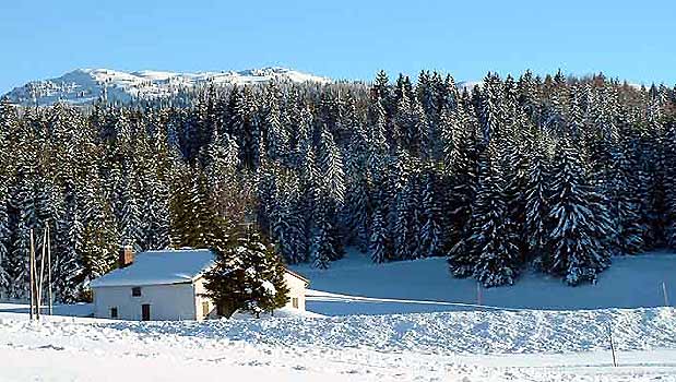 Belle neigne fraiche sur les hautes combes. Au fond, les crêtes menant au Crêt de la Neige...