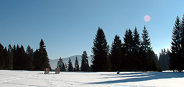 Une des innombrables clairières que traverse la piste des Prises.