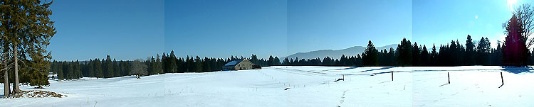 Vue panoramique de la clairière du Petit Vitiau.