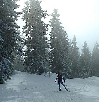 Soleil à travers une légère brume