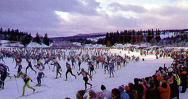 8h, la course est partie. Nous, on est tout au fond, là-bas... Ca fait du monde !
