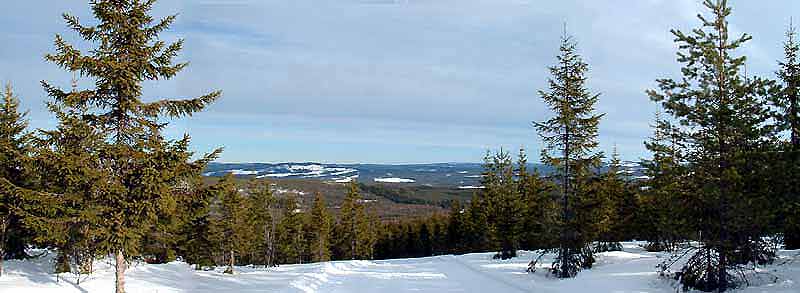 Vue imprenable depuis la montagne aux Ours, vers le nord. Au centre, l'"elitespar" (piste compétition)