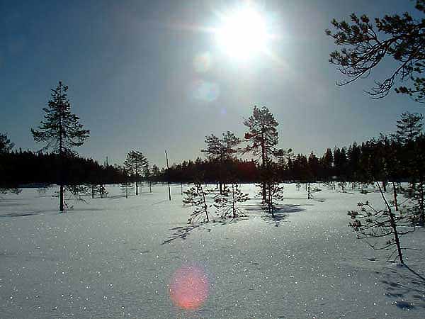 Paysage de lacs et de marécages sous le soleil de midi.