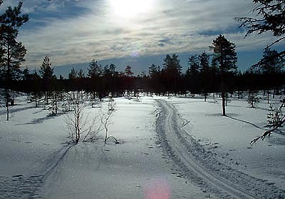 La Langspär qui serpente entre les arbres.